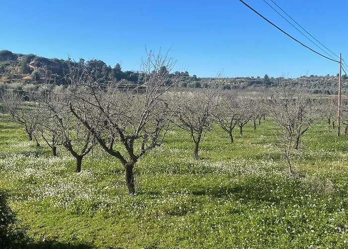 Casa Rural Lo Regolfo